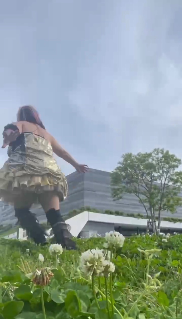 どんたく