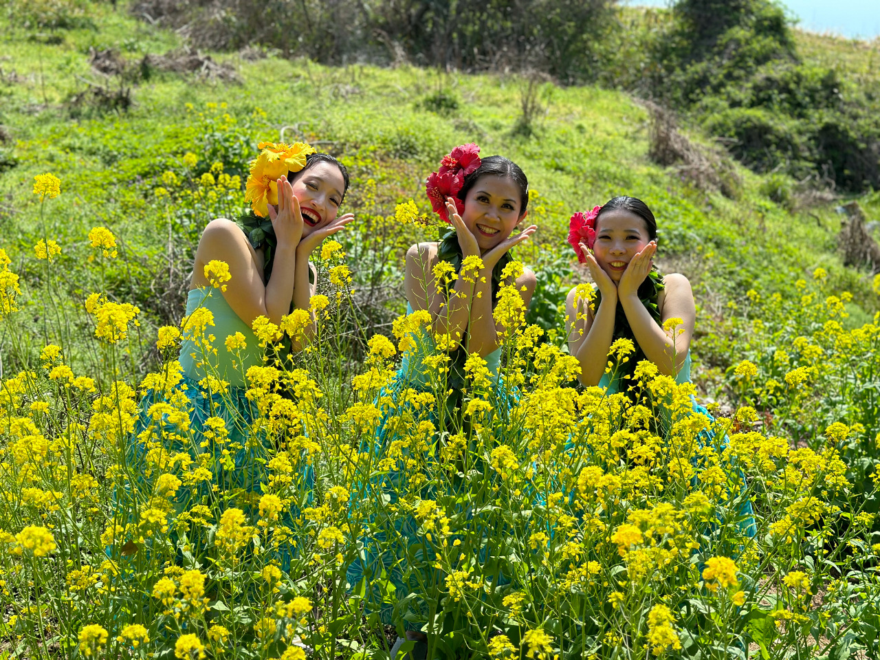 菜の花畑ではいポーズ